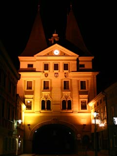 Schwanenstadt